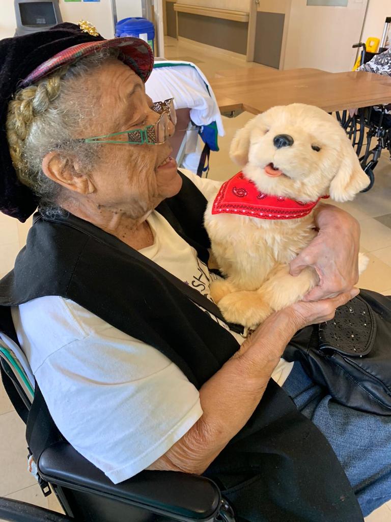 Pet Therapy At Fort Tryon