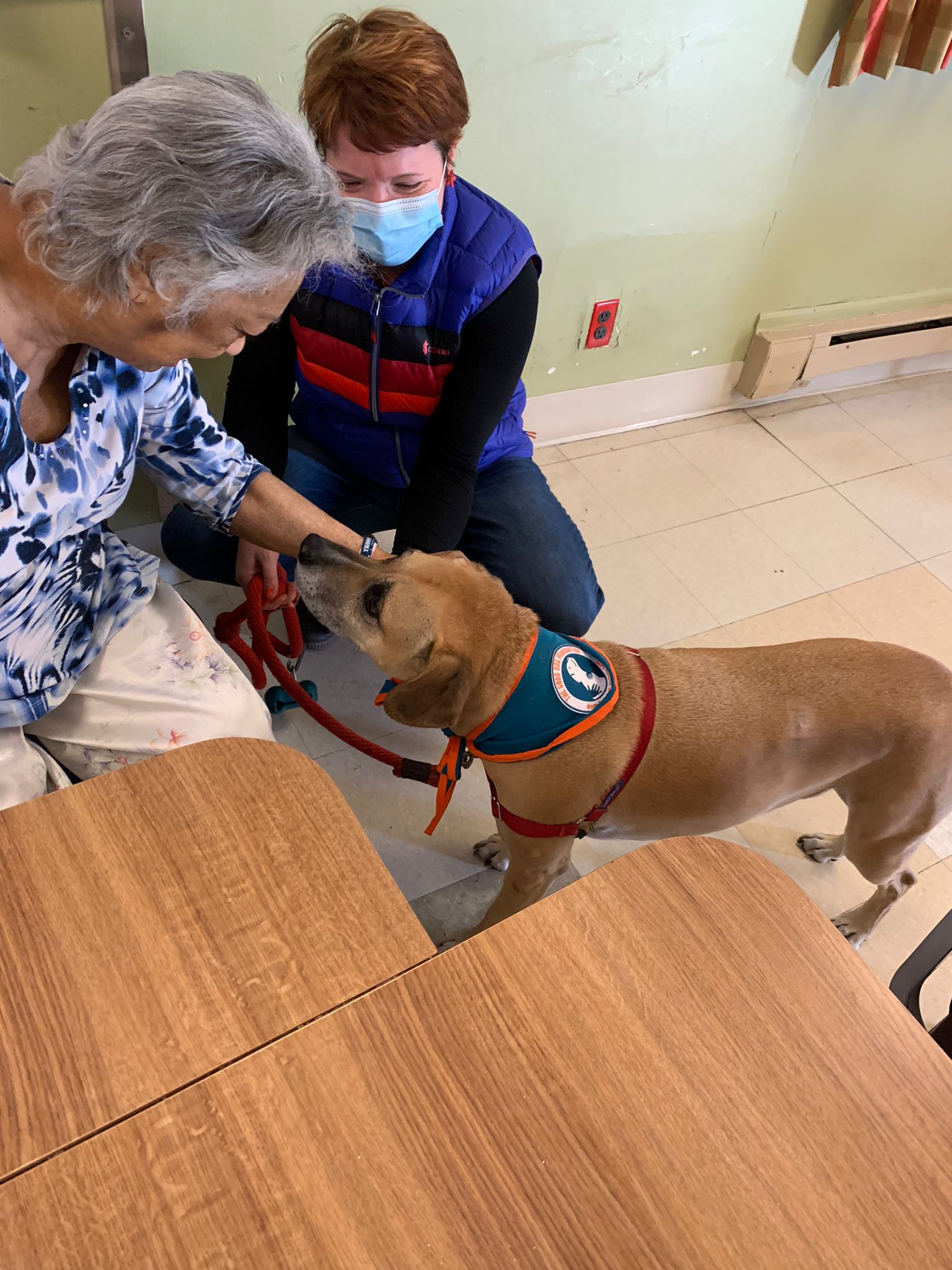 Pet Therapy is Always Love at Fort Tryon